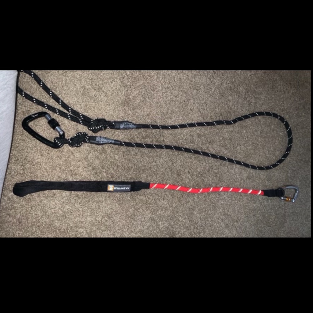 Leashes